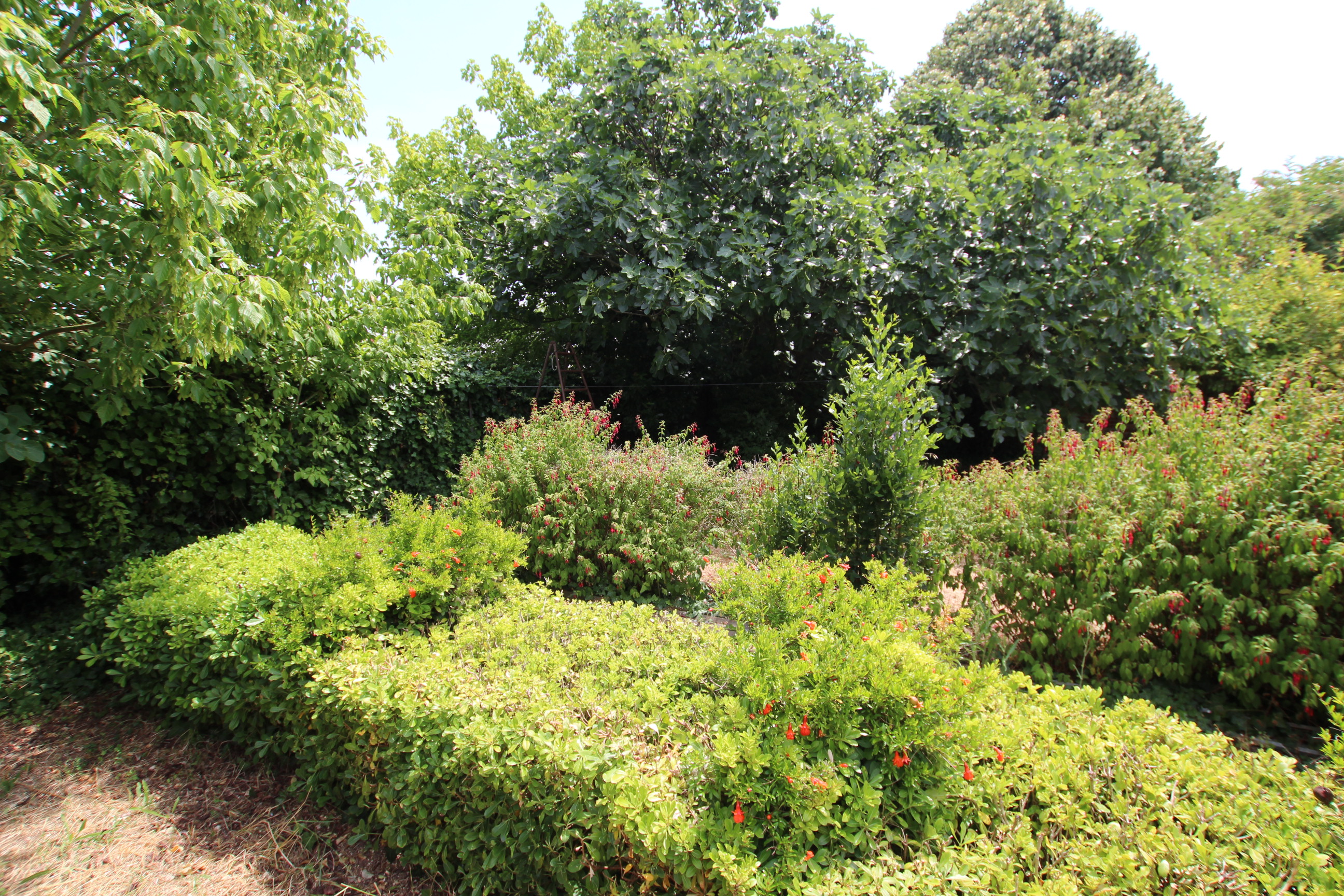 Qovop Immobilier | Achat Maison 80 m² - 17440 aytre