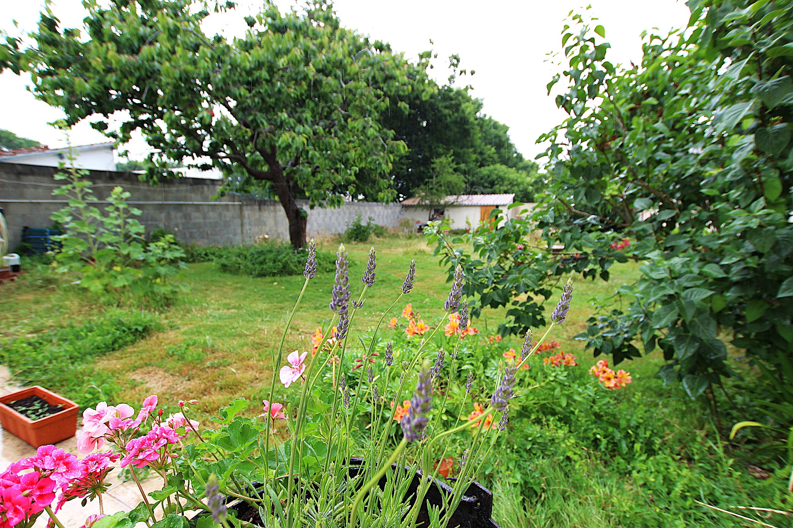 Qovop Immobilier | Achat Maison 75 m² - 17000 la rochelle