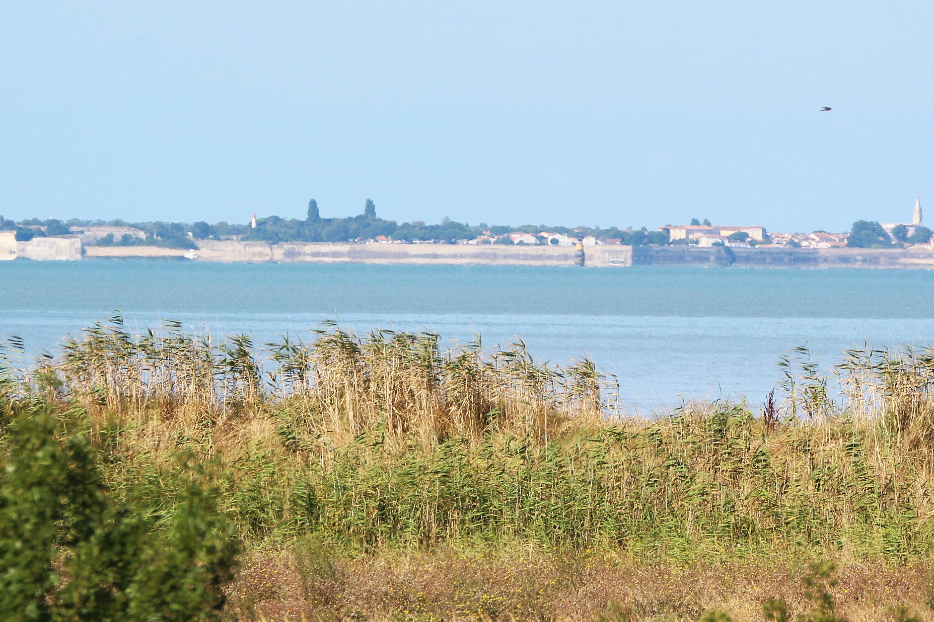 Qovop Immobilier | Achat Maison 164 m² - 17730 PORT DES BARQUES