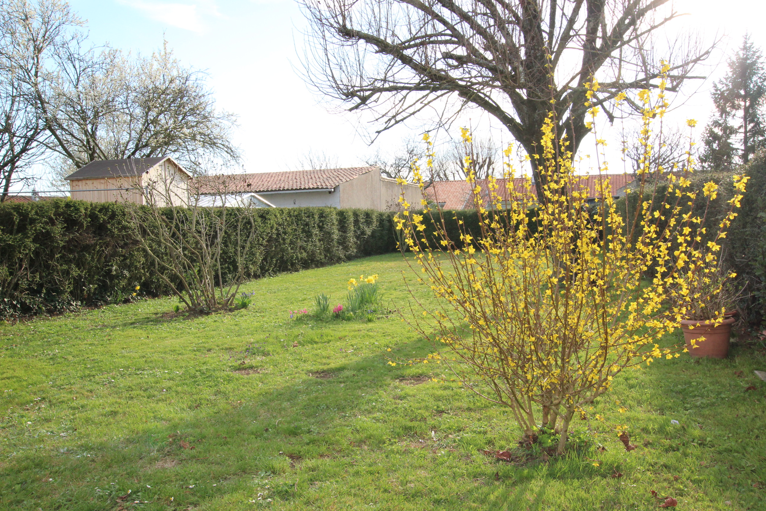 Qovop Immobilier | Achat Maison 70 m² - 17440 Aytré