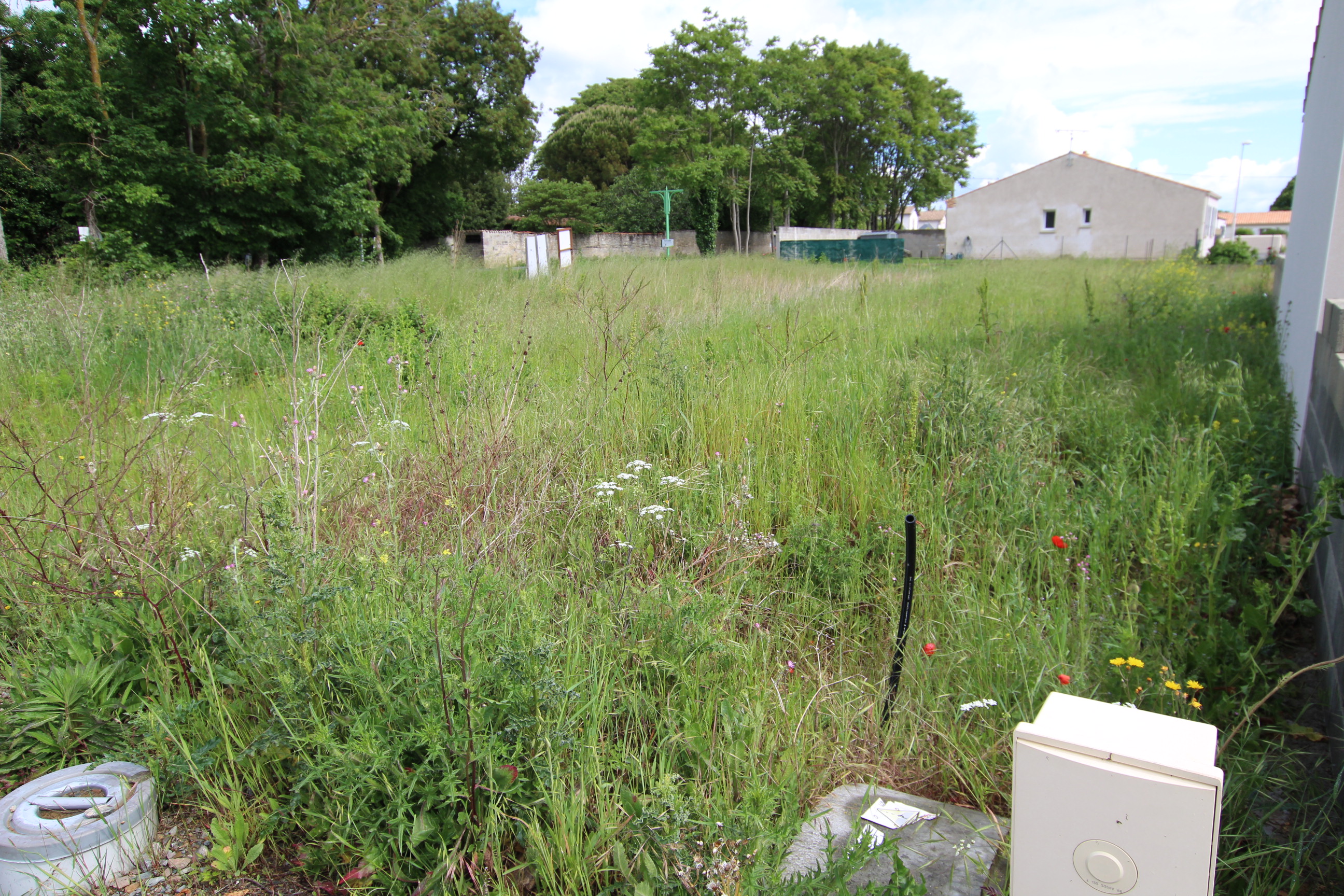 Qovop Immobilier | Achat Terrain  m² - 17290 Aigrefeuille