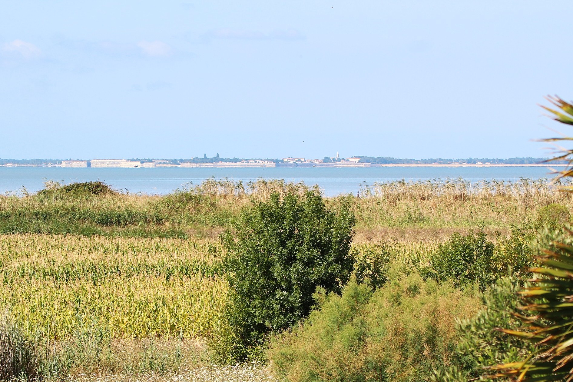 Qovop Immobilier | Achat Maison 164 m² - 17730 PORT DES BARQUES