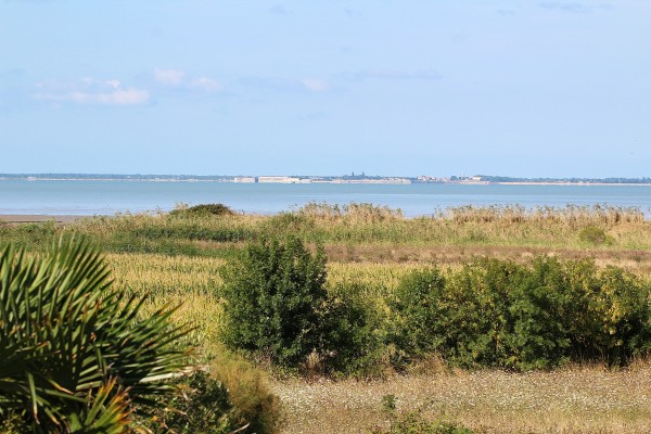Achat Maison - 17730 PORT DES BARQUES : Maison vue mer à Port des Barques | Qovop Immobilier