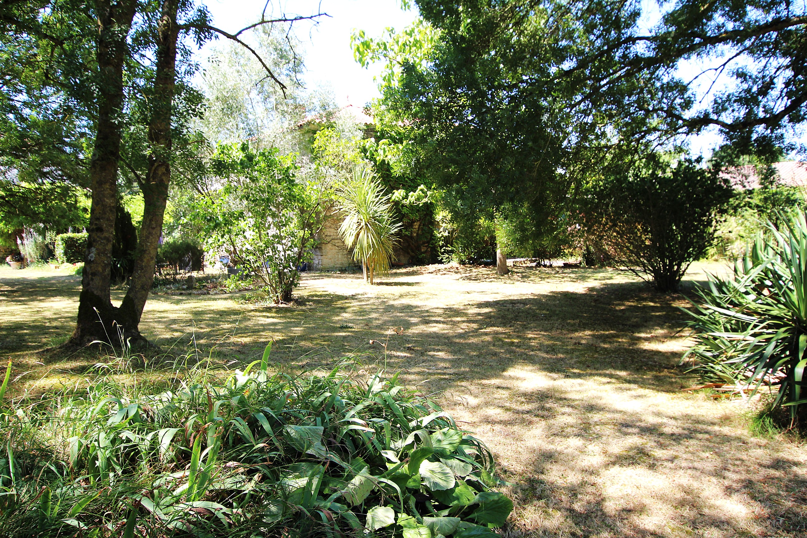Qovop Immobilier | Achat Propriété 196 m² - 17380 TONNAY-BOUTONNE