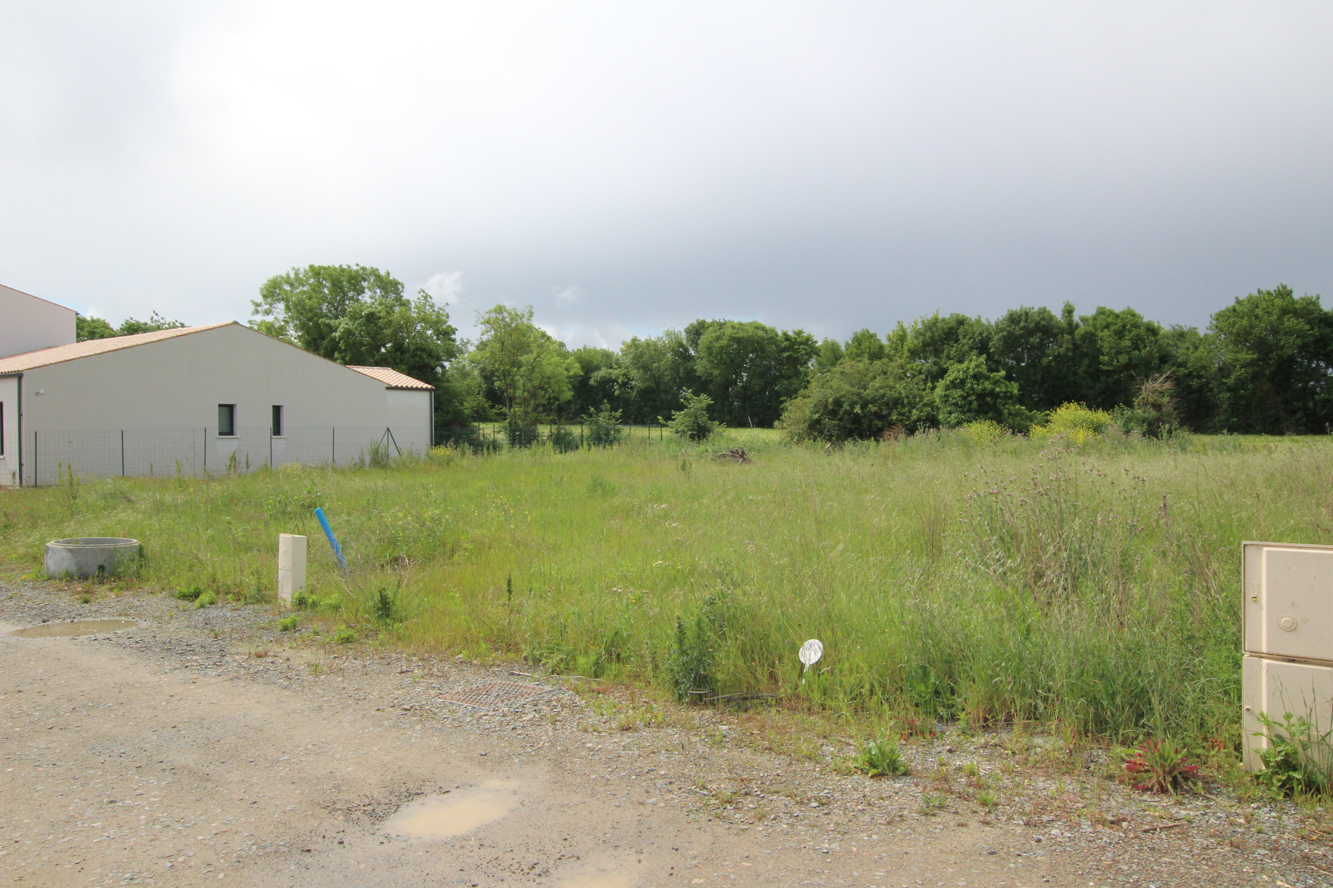 Qovop Immobilier | Achat Terrain  m² - 17290 Aigrefeuille