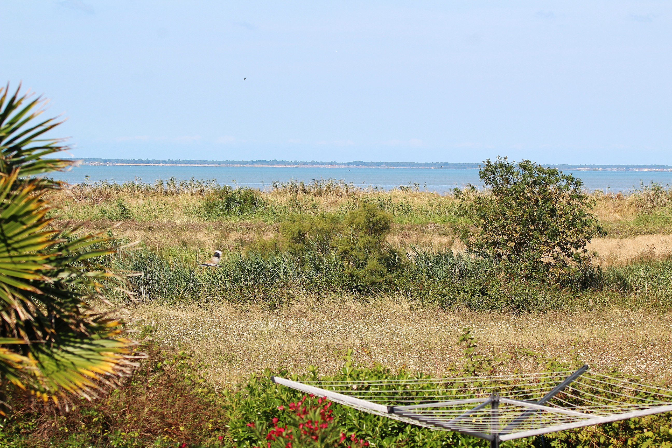 Qovop Immobilier | Achat Maison 164 m² - 17730 PORT DES BARQUES