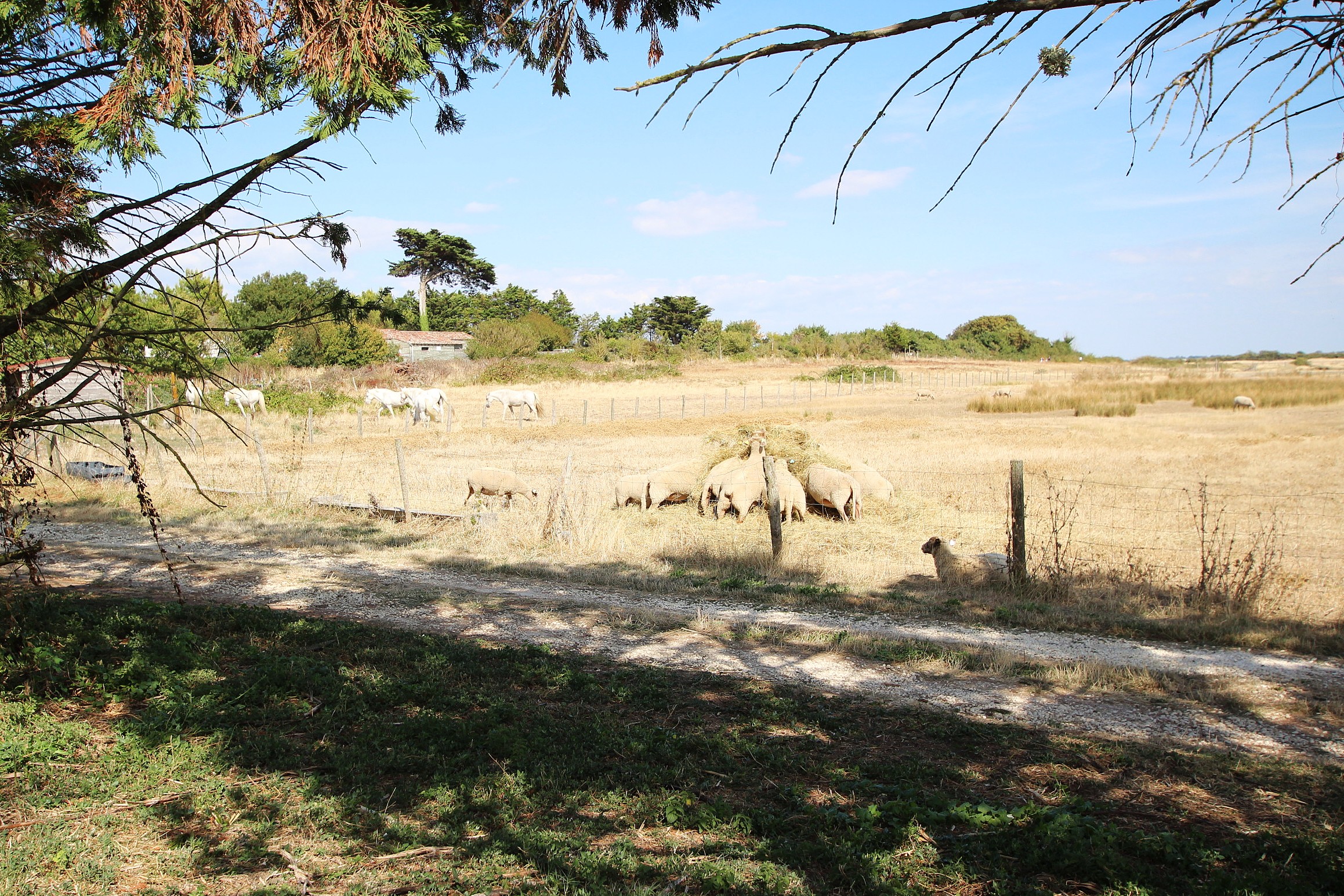 Qovop Immobilier | Achat Maison 164 m² - 17730 PORT DES BARQUES
